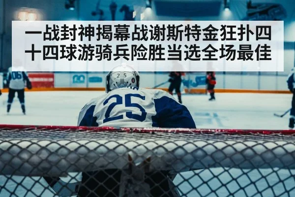 hockey net player
